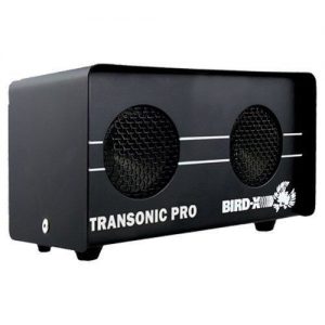 Rats Ultrasonic Instrument